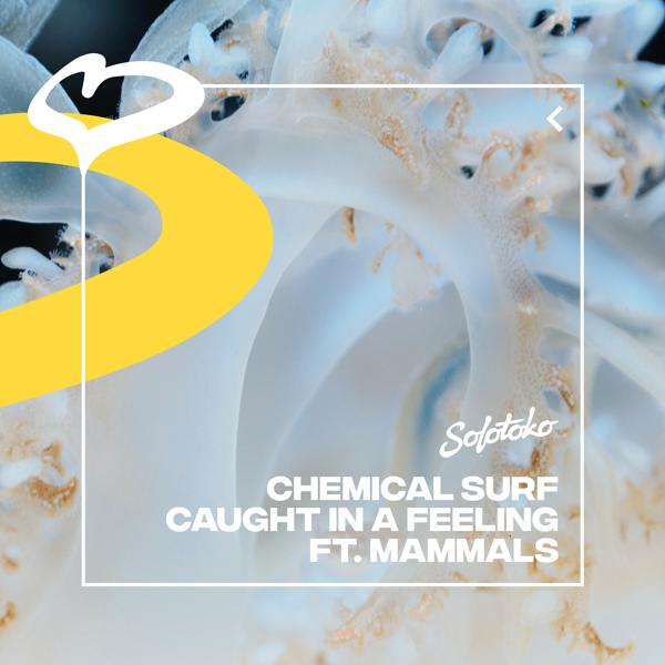 Chemical Surf, Mammals - Caught In A Feeling (feat. Mammals)