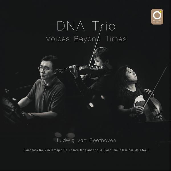 DNA Trio - Piano Trio in C Minor, Op. 1 No. 3: III. Minuet. Quasi Allegro