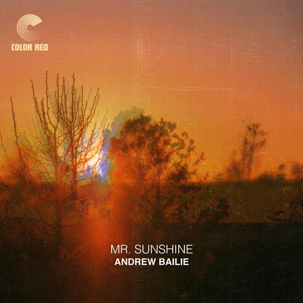 Andrew Bailie - Mr. Sunshine