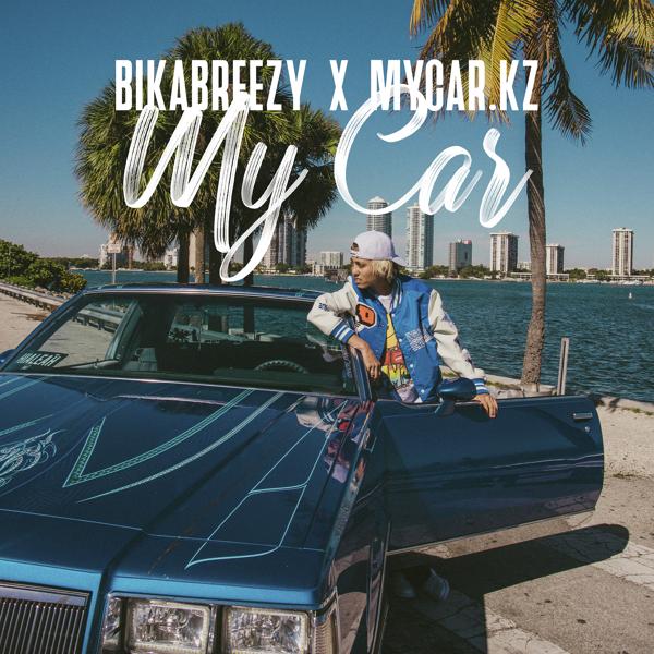 BikaBreezy - My car