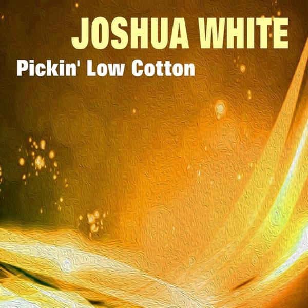 Joshua White - Trouble