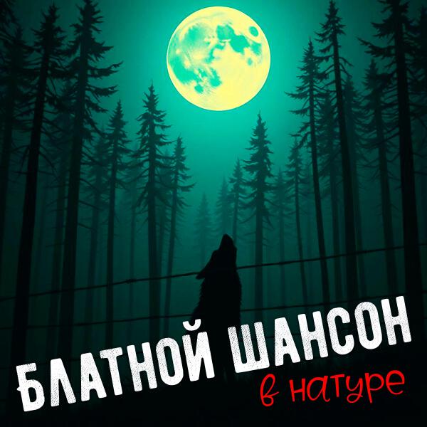 Группа Пули-Дни, Сергей Наговицын - Лучик солнца