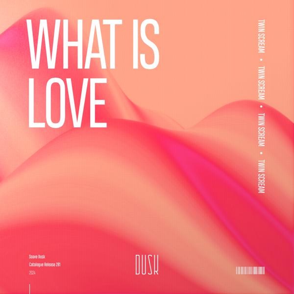 Twin Scream - What Is Love