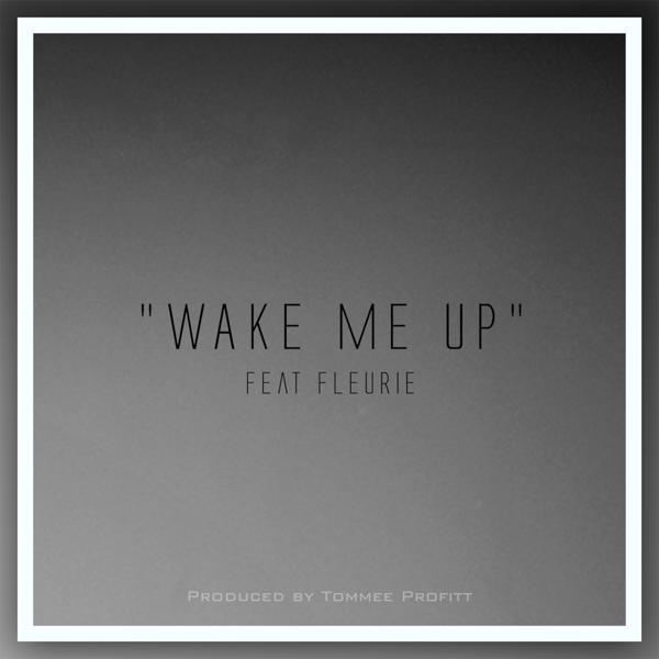 Tommee Profitt, Fleurie - Wake Me Up