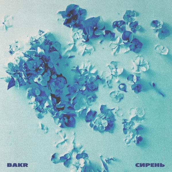 Bakr - Сирень