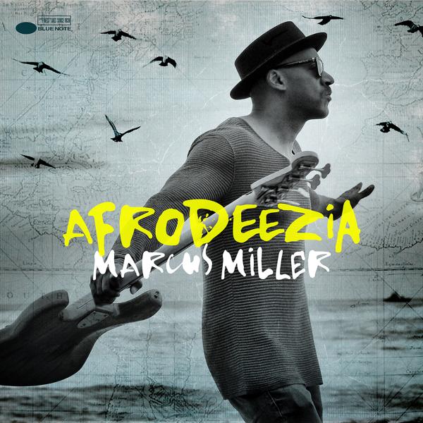 Marcus Miller - Hylife