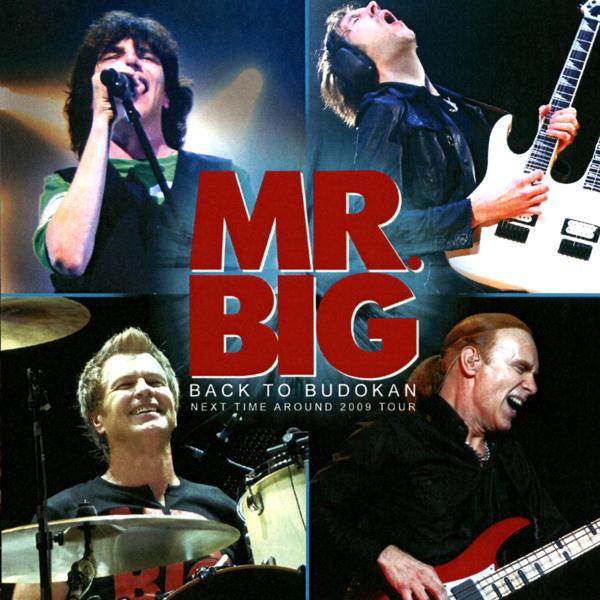 Mr. Big - Wild World (Live)