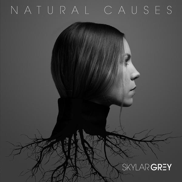 Skylar Grey - Real World