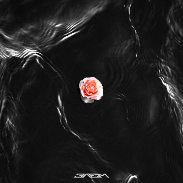 Элэм - ОНВМН