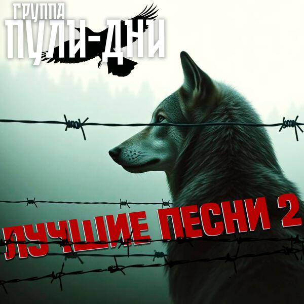 Группа Пули-Дни - Лучшие песни 2
