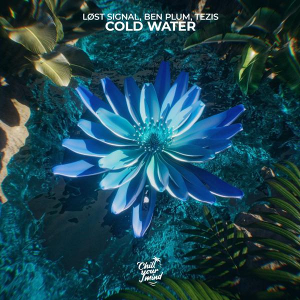 LØST SIGNAL, Ben Plum, Tezis - Cold Water