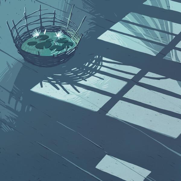 OQJAV - Кувшинки