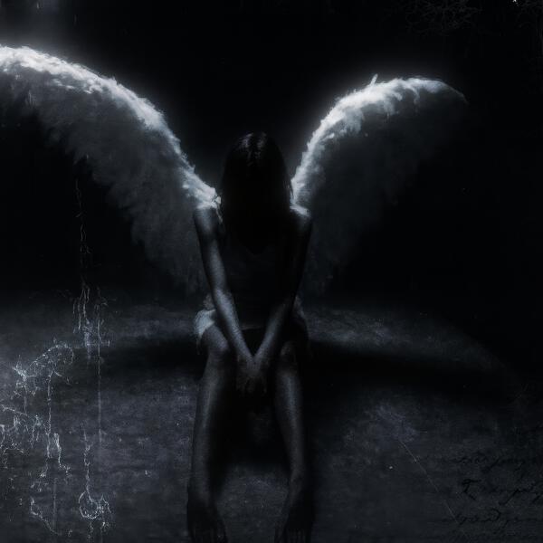 Kute - velour wings