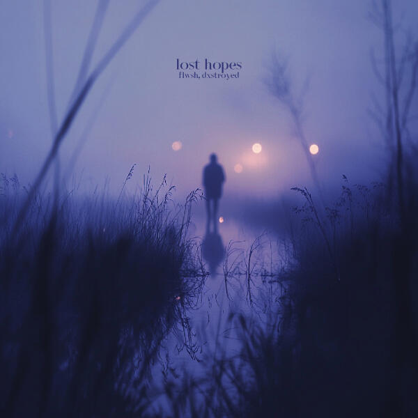 Flwsh, dxstroyed - lost hopes