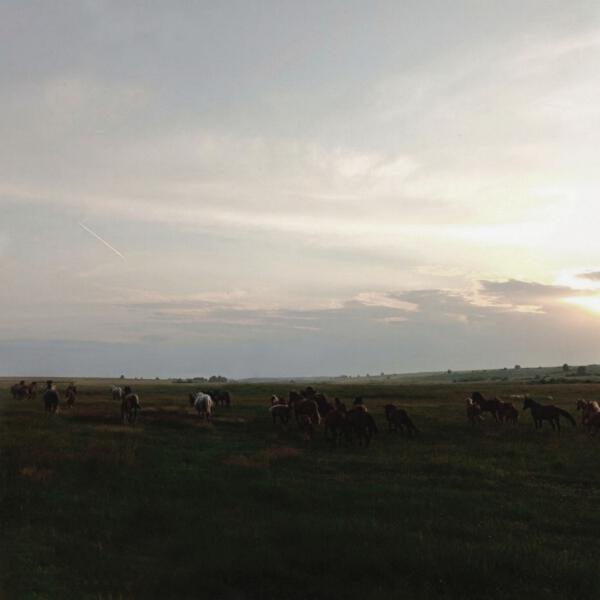 Closed Garden - Hey, Long Road