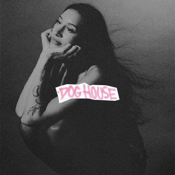 Drake, YEAT, Julia Wolf - DOG HOUSE (feat. Julia Wolf & Yeat)