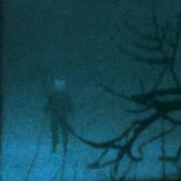 my head is empty - i was only temporary (Slowed)