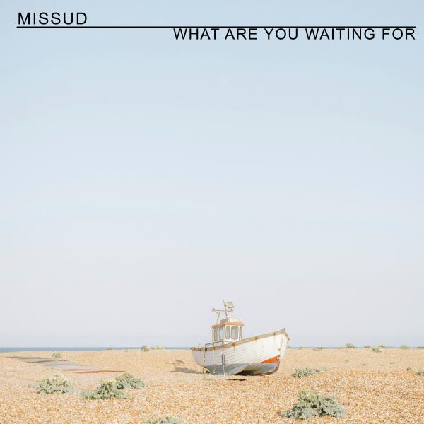 Missud - What Are You Waiting For
