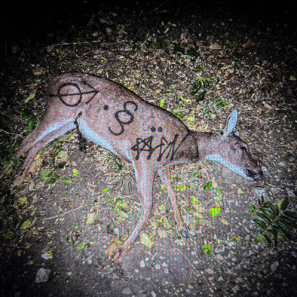 aldn, Wisp - crocodile eyes