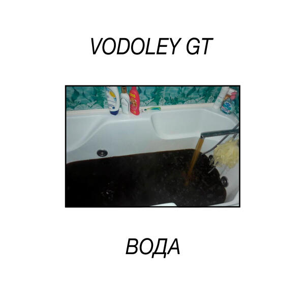Vodoley GT - павлин