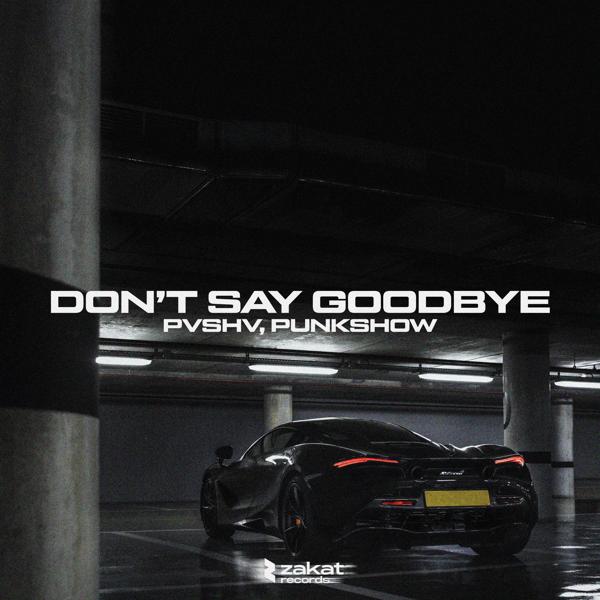 PVSHV, Punkshow - Don't Say Goodbye