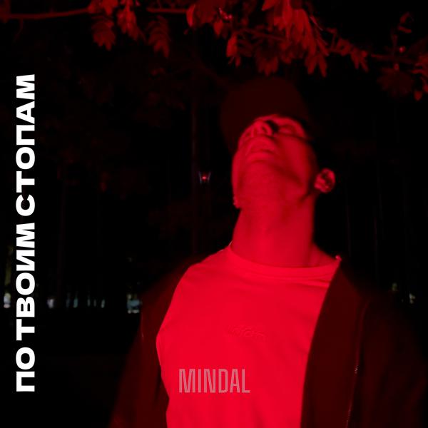 MINDAL - По твоим стопам