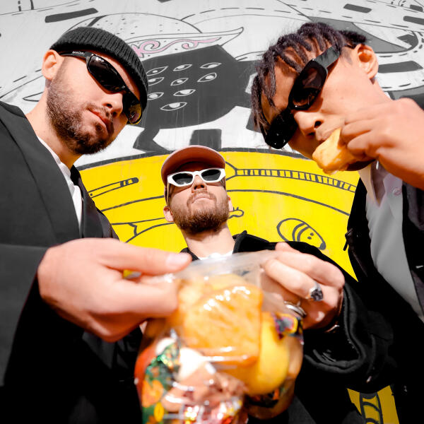 Verno - SARQYT