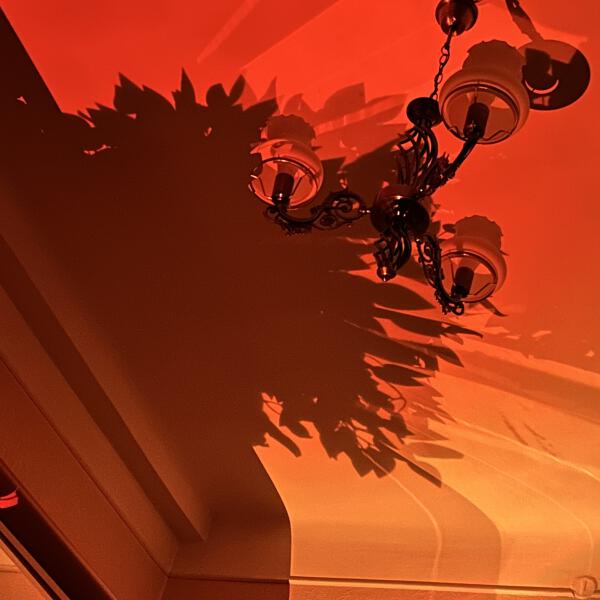 почтисчастье, Blacktape - Cherry Moon