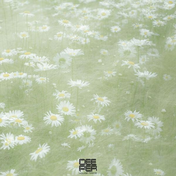 RILTIM - Dreamcatcher