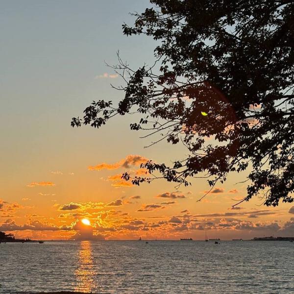 Litera2ra, WhiteBully - Юг