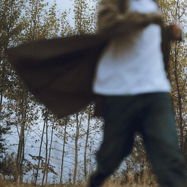 лев - каждый раз