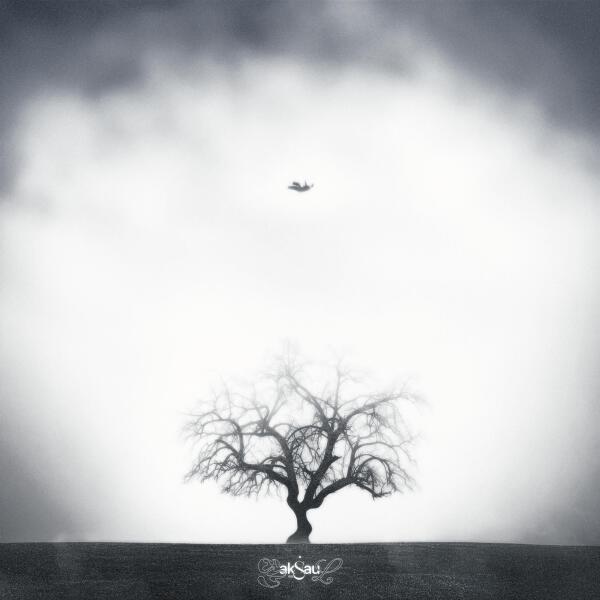 hatikoali - Мечта