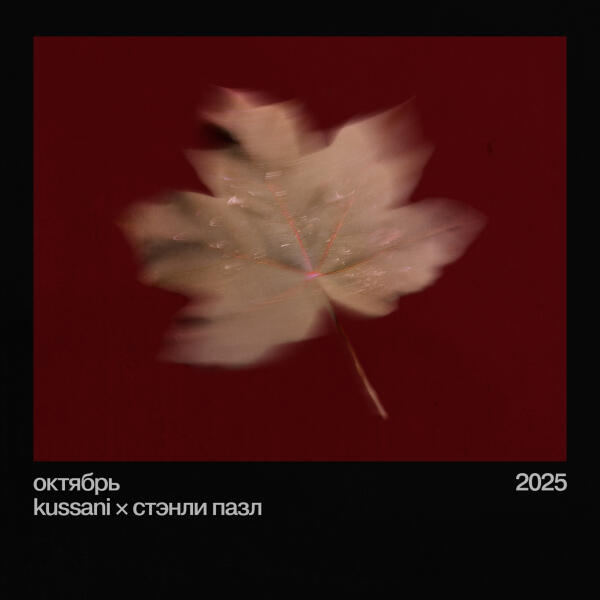 kussani, Стэнли Пазл - октябрь