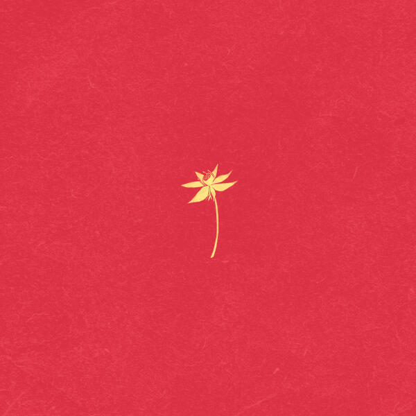 чичако - подарки востока