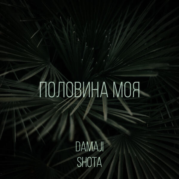 Damaji, Shota - Половина моя