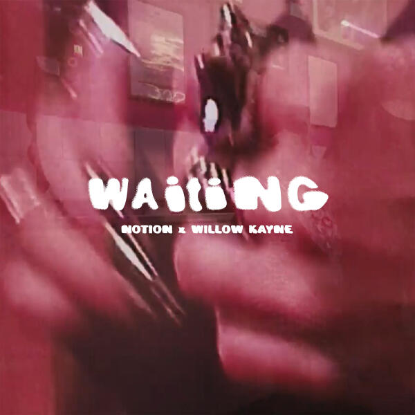 NotioN, Willow Kayne - WAITING