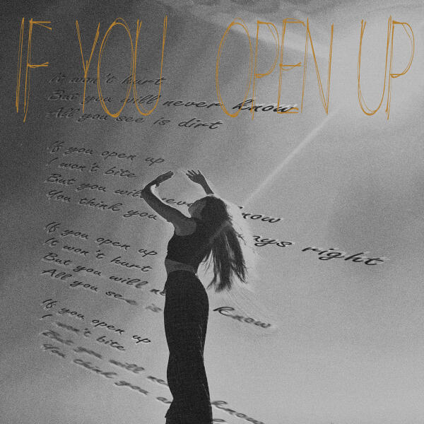 mini mielk, Infraction - If You Open Up