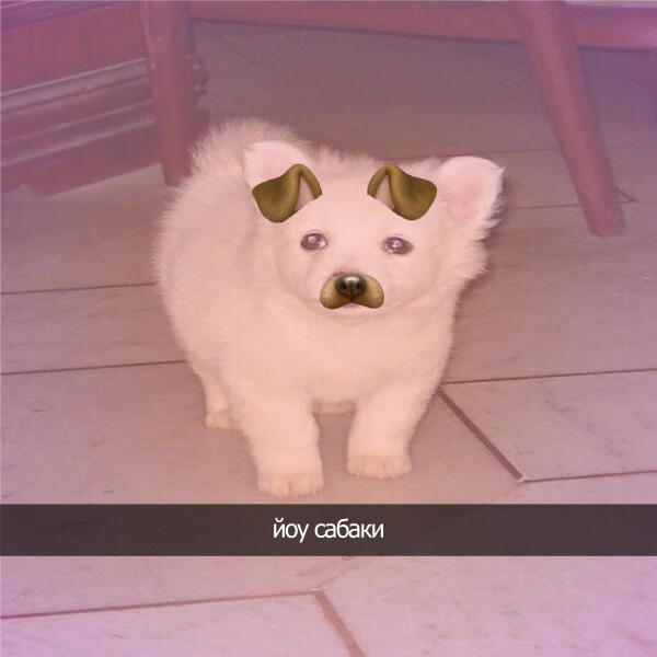 KAMZ0NER, golki - йоу сабаки