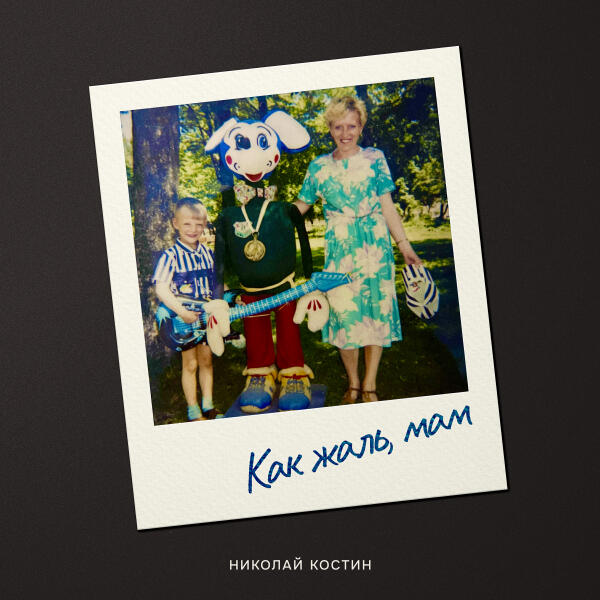 Николай Костин - Как жаль, мам