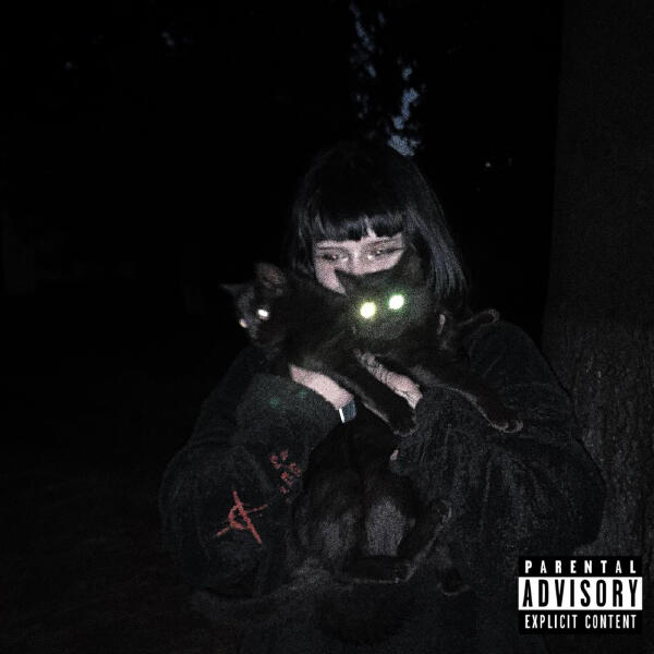 лавмикортни - передаюпока