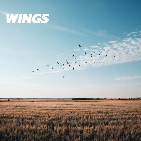 DJ Monsy, Deep House - Wings