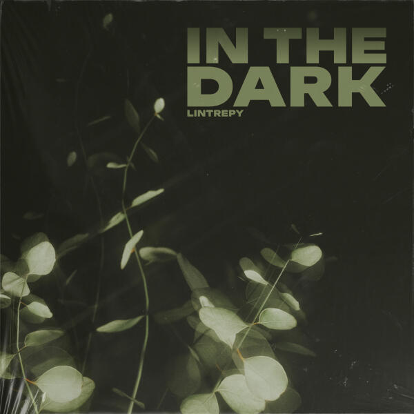 Lintrepy - In the Dark
