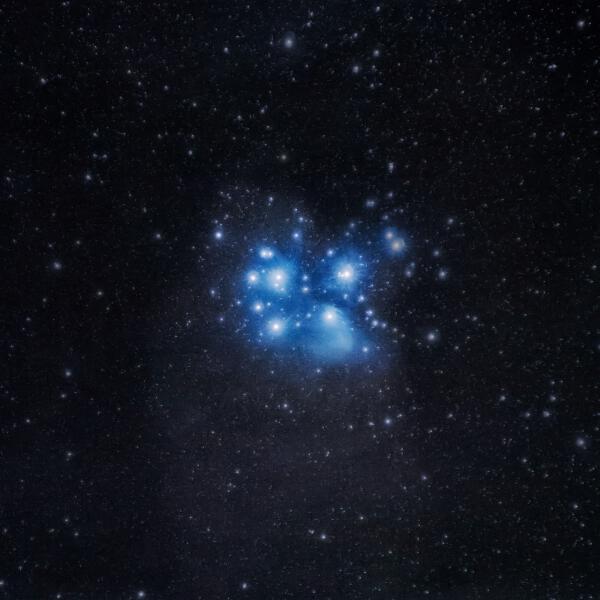 seen twice, Money Flip, fluff - timeless