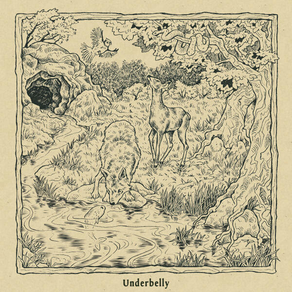 Hannah Hill - Underbelly