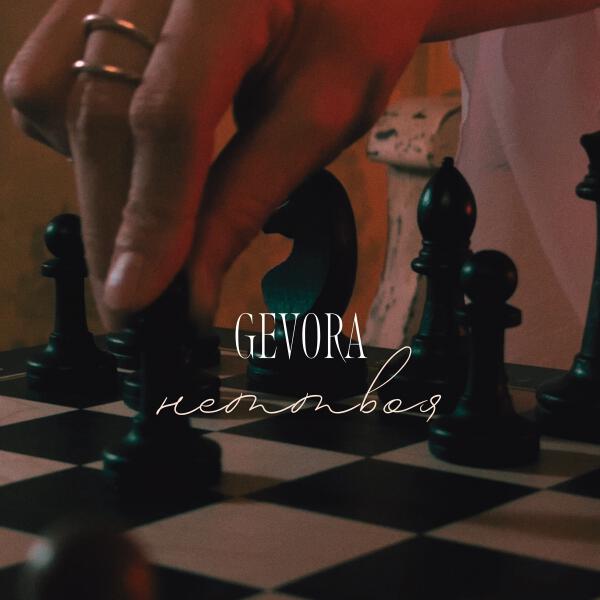 GEVORA - неттвоя