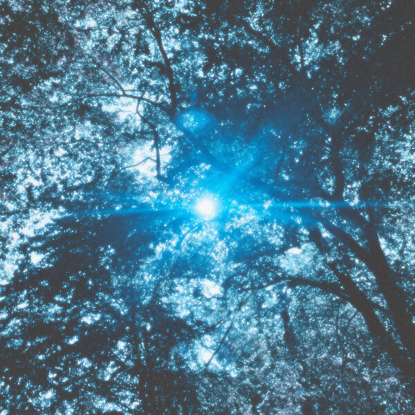 Aura BAE, Seamoon, Ekki - Komorebi 木漏れ日