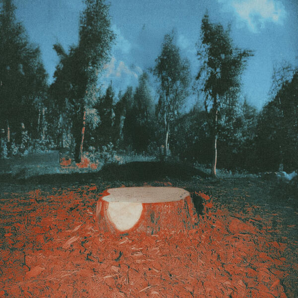 лампабикт - сменится круг