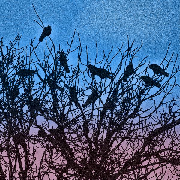 рэ.прэса - завтра