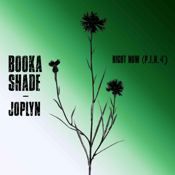 Booka Shade, Joplyn - Right Now (P.I.N. 4)