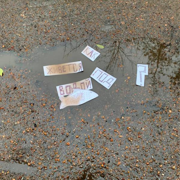 Надбровная дуга - Как живётся под водой